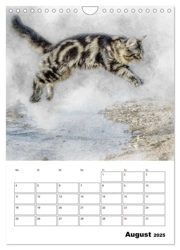 Bild: 9783435975365 | Maine Coon Katzen (Wandkalender 2025 DIN A4 hoch), CALVENDO...