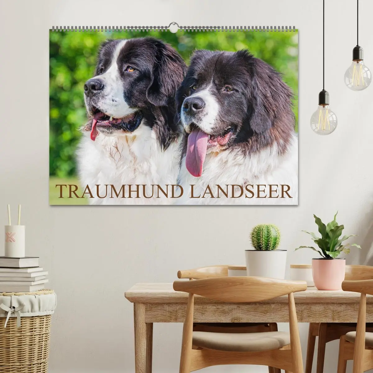 Bild: 9783457515365 | Traumhund Landseer (Wandkalender 2026 DIN A2 quer), CALVENDO...