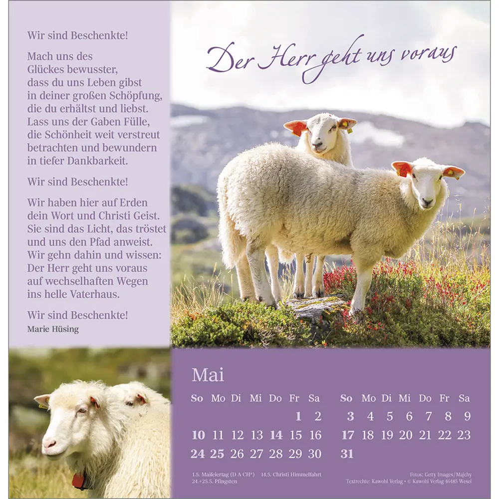 Bild: 9783754825365 | Sei behütet auf allen Wegen 2026 | Impulse und Gedanken aus Psalm 23