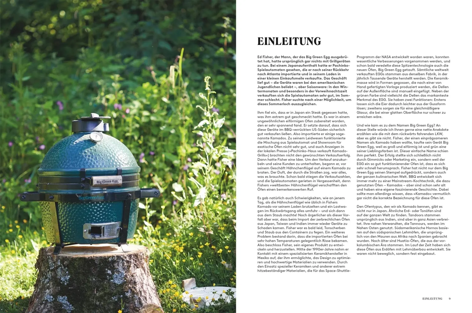 Bild: 9783831045365 | Kochen mit dem Big Green Egg | James Whetlor | Buch | 208 S. | Deutsch