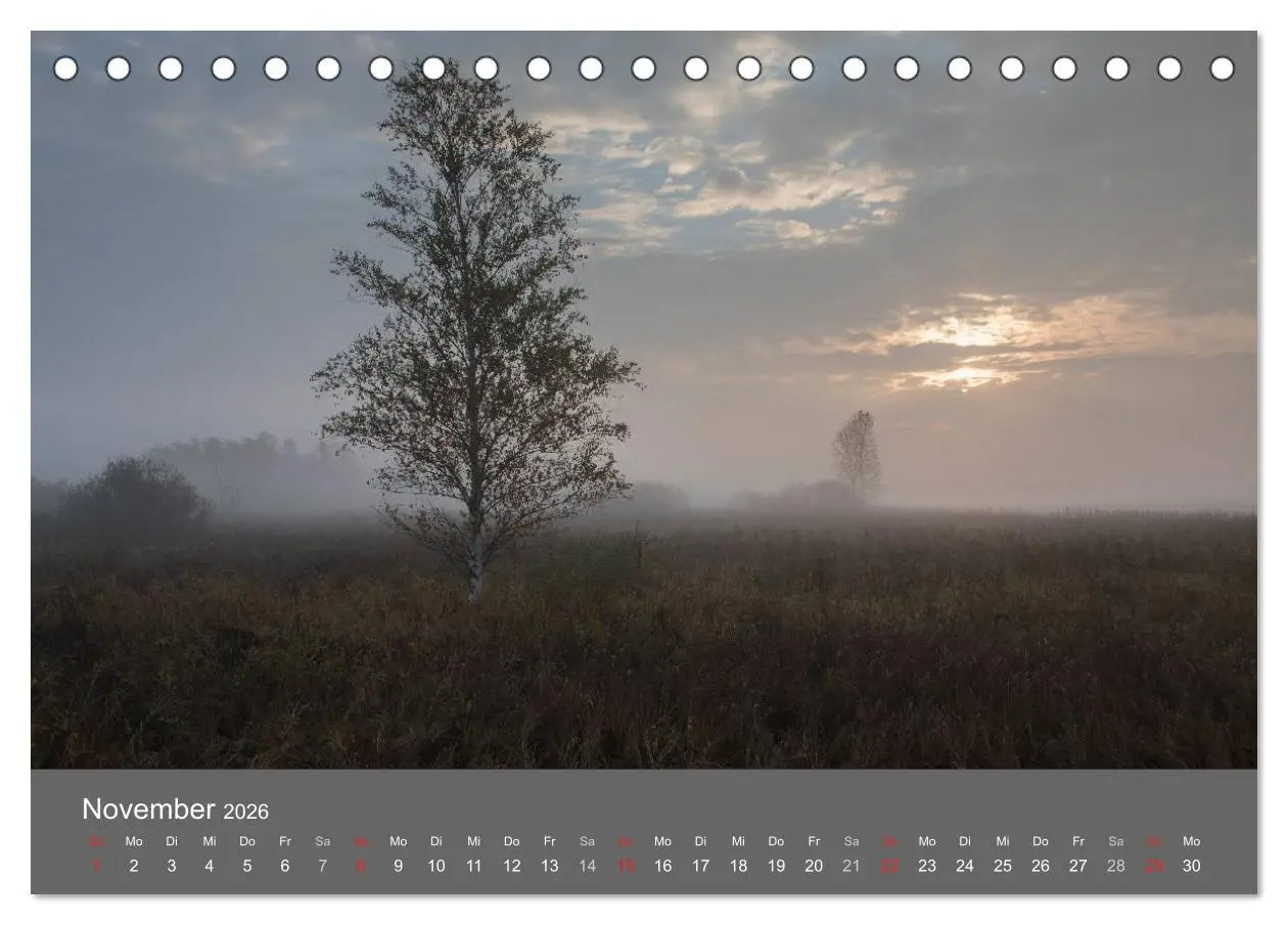 Bild: 9783457985465 | Der Federsee - Vogelparadies in Oberschwaben (Tischkalender 2026...