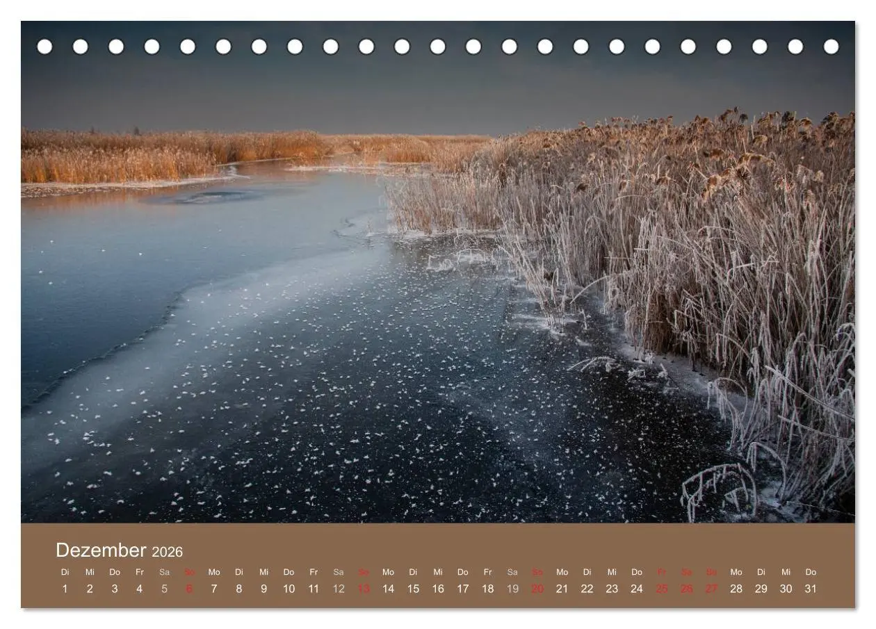 Bild: 9783457985465 | Der Federsee - Vogelparadies in Oberschwaben (Tischkalender 2026...