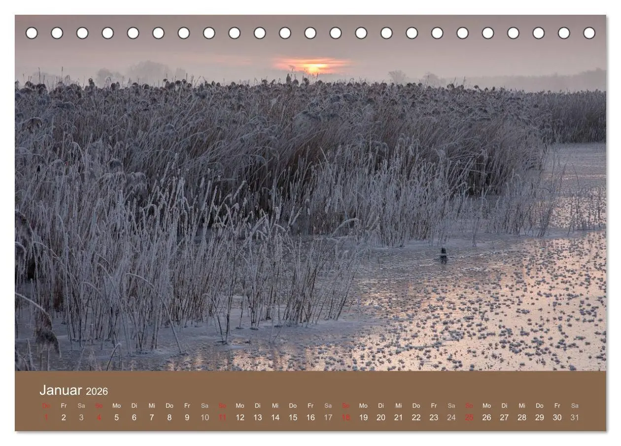 Bild: 9783457985465 | Der Federsee - Vogelparadies in Oberschwaben (Tischkalender 2026...