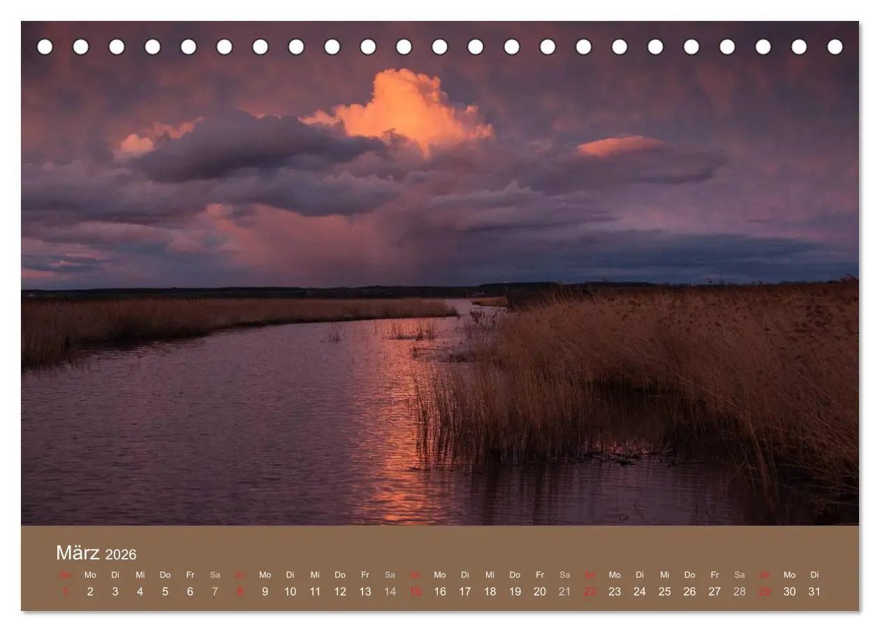 Bild: 9783457985465 | Der Federsee - Vogelparadies in Oberschwaben (Tischkalender 2026...