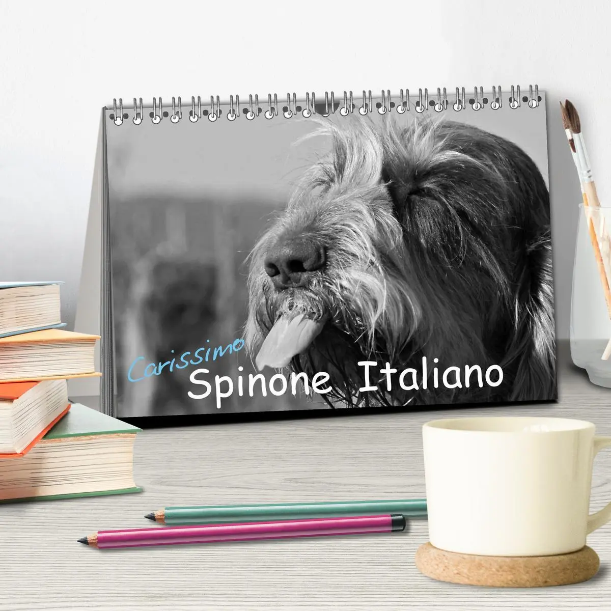 Bild: 9783516075465 | Carissimo Spinone Italiano (Tischkalender 2026 DIN A5 quer),...