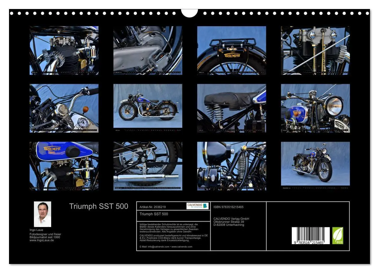 Bild: 9783516215465 | Triumph SST 500 (Wandkalender 2026 DIN A3 quer), CALVENDO...