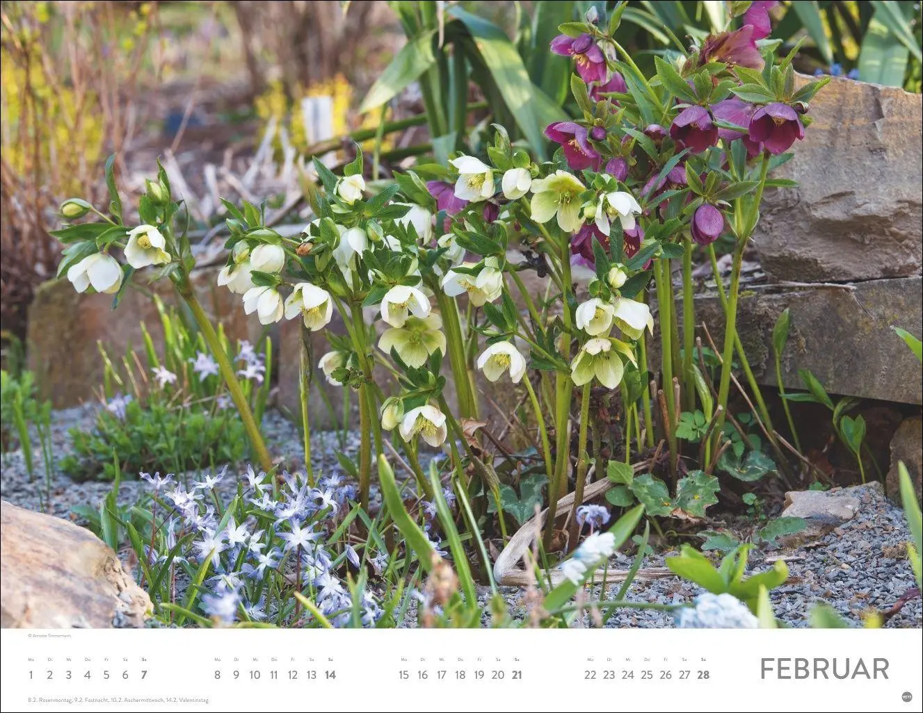 Bild: 9783756415465 | Gartenparadies Posterkalender 2027 | Heye | Kalender | Spiralbindung
