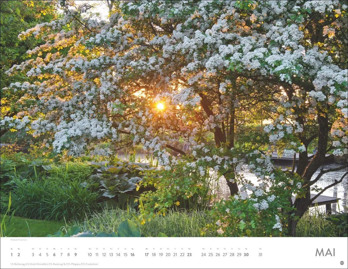 Bild: 9783756415465 | Gartenparadies Posterkalender 2027 | Heye | Kalender | Spiralbindung
