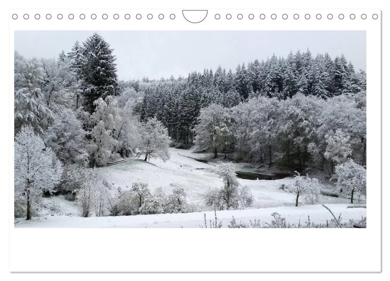 Bild: 9783435405565 | Zauberhafte Landschaften im Odenwald (Wandkalender 2025 DIN A4...