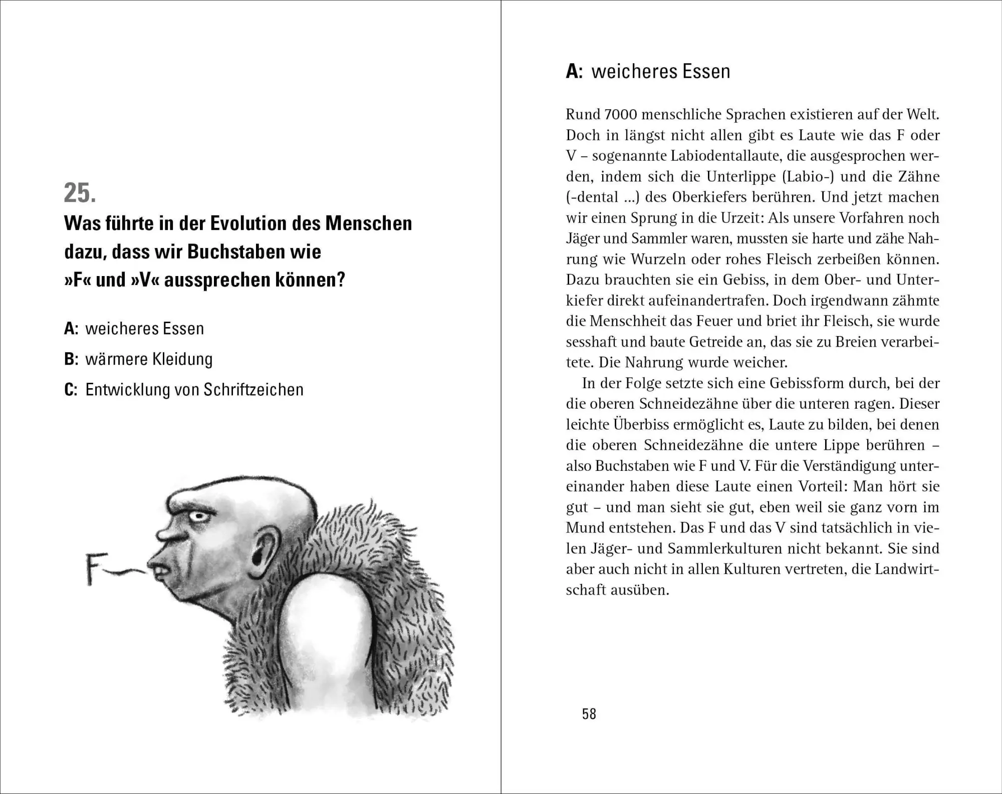 Bild: 9783453605565 | Wer weiß denn sowas? 3 | Heyne Verlag | Taschenbuch | 320 S. | Deutsch