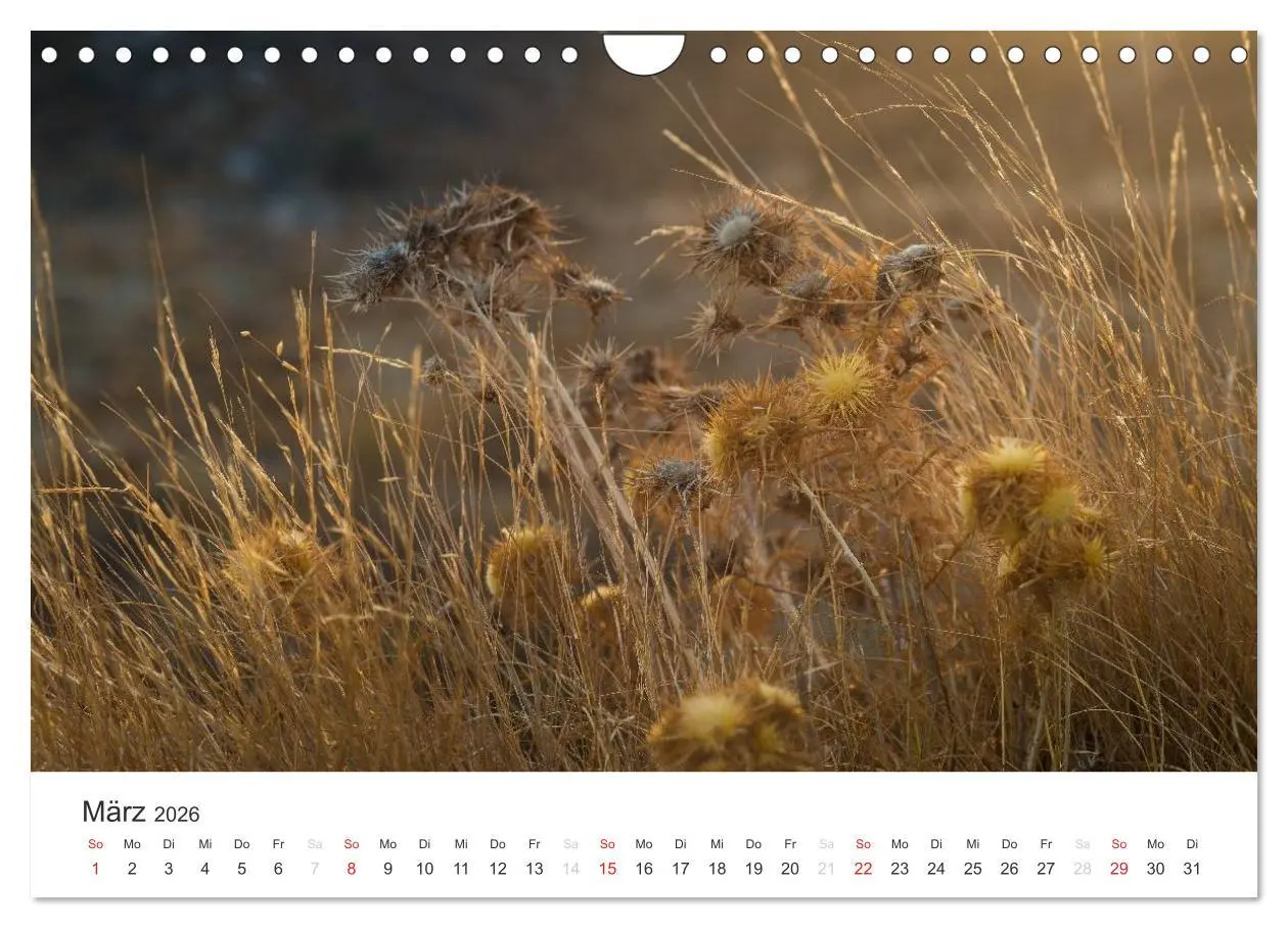 Bild: 9783516205565 | Kreta. Im Süden (Wandkalender 2026 DIN A4 quer), CALVENDO...