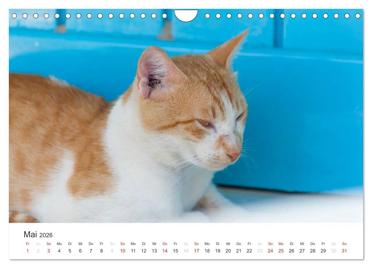 Bild: 9783516205565 | Kreta. Im Süden (Wandkalender 2026 DIN A4 quer), CALVENDO...
