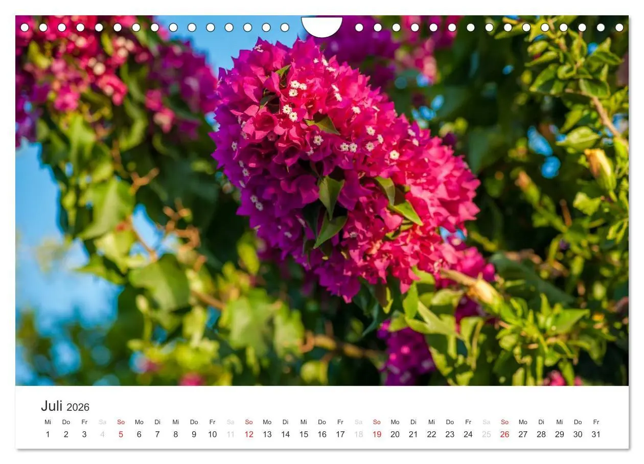 Bild: 9783516205565 | Kreta. Im Süden (Wandkalender 2026 DIN A4 quer), CALVENDO...