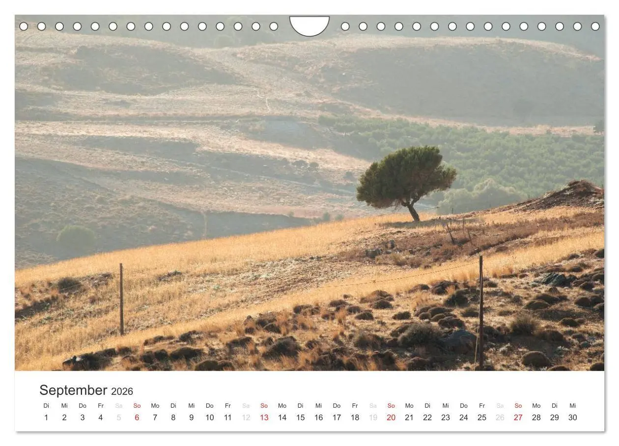 Bild: 9783516205565 | Kreta. Im Süden (Wandkalender 2026 DIN A4 quer), CALVENDO...