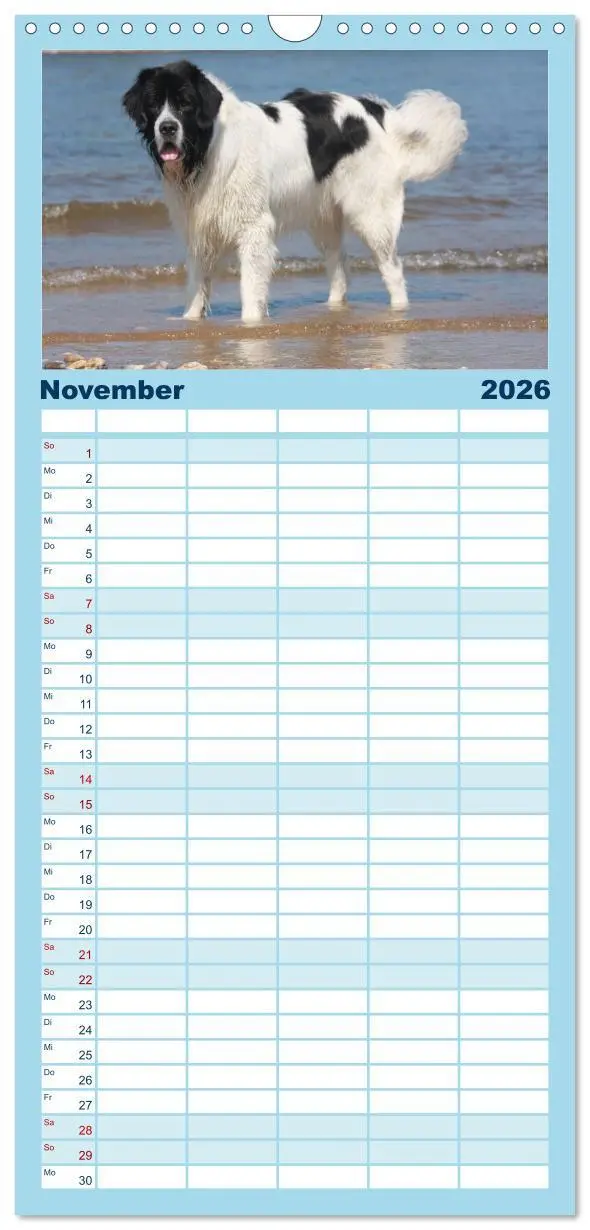 Bild: 9783516515565 | Familienplaner 2026 - Landseer - Das Wasser ist ihr Element mit 5...