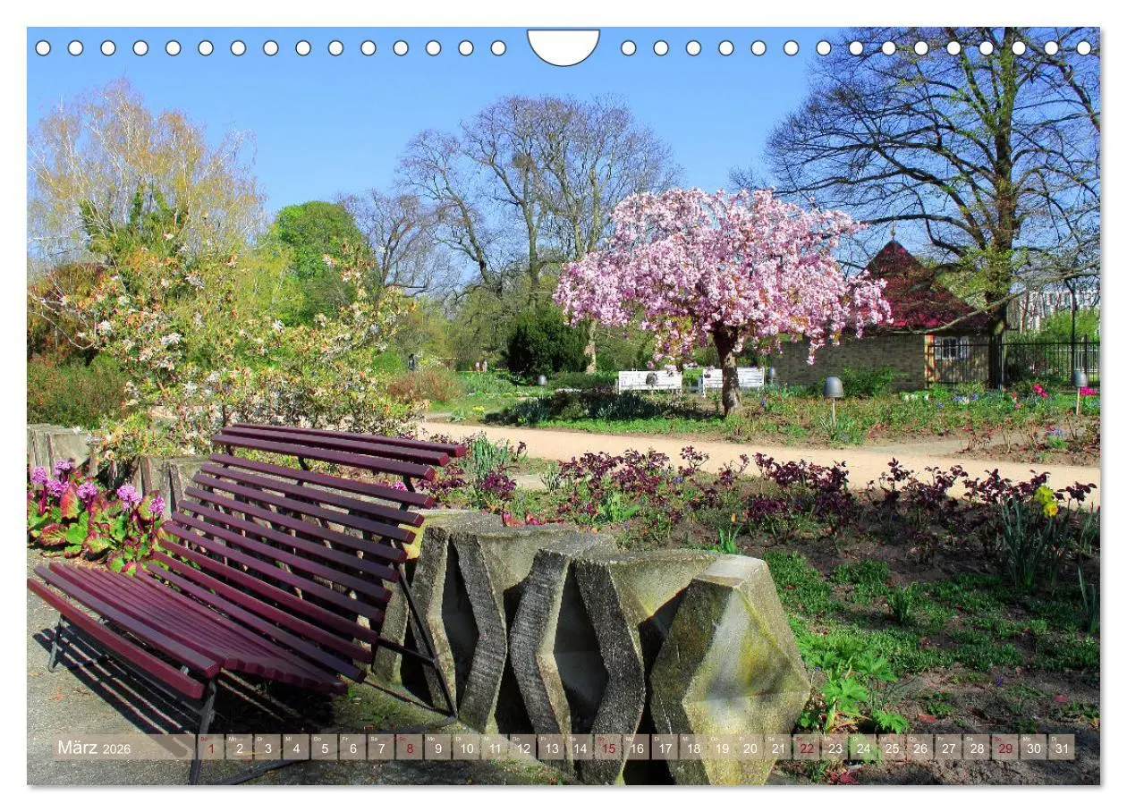 Bild: 9783457655665 | Potsdam an der Havel (Wandkalender 2026 DIN A4 quer), CALVENDO...
