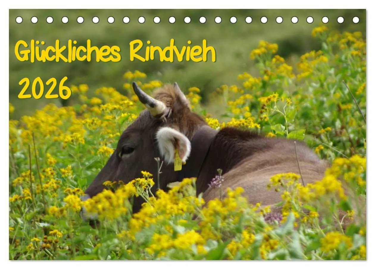 Cover: 9783457965665 | Glückliches Rindvieh 2026 (Tischkalender 2026 DIN A5 quer),...