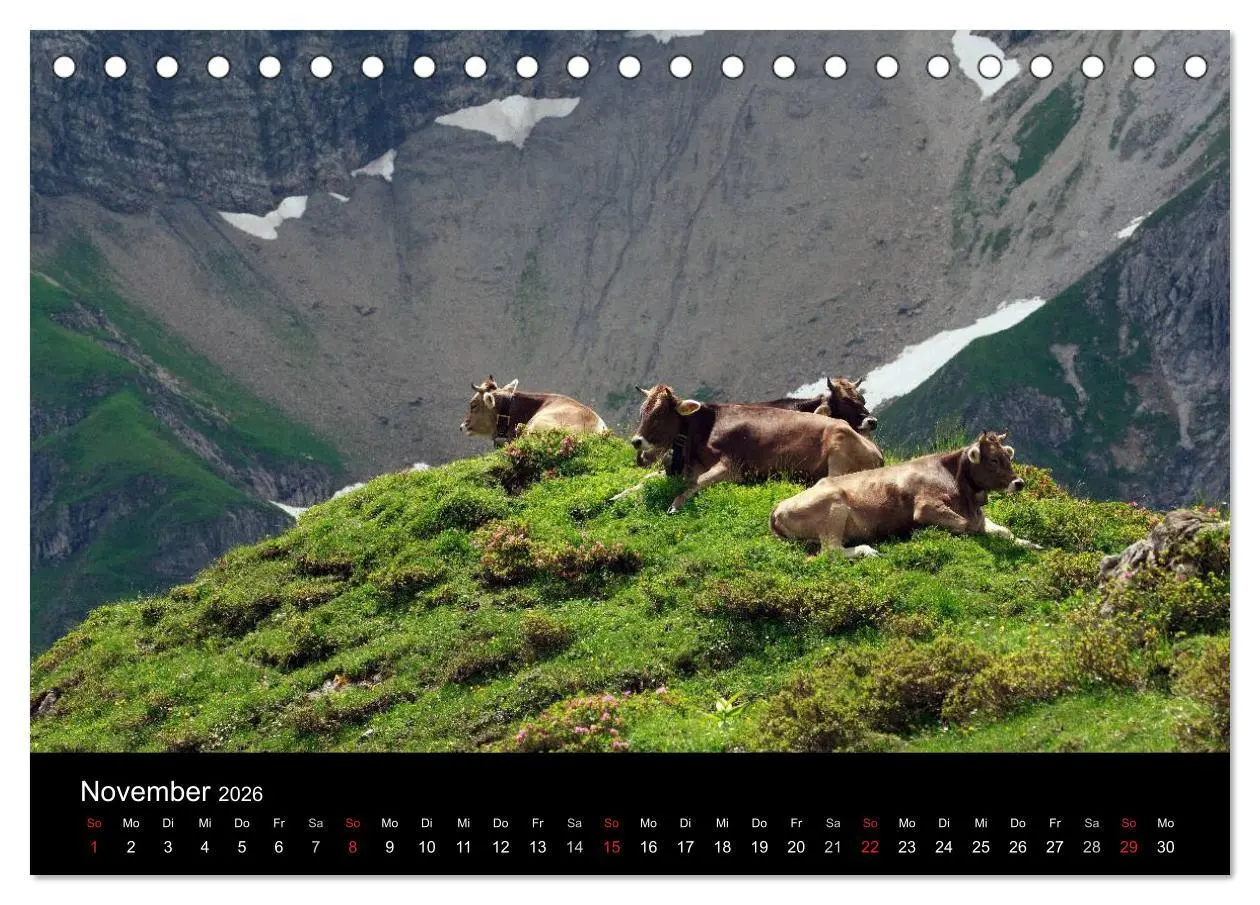 Bild: 9783457965665 | Glückliches Rindvieh 2026 (Tischkalender 2026 DIN A5 quer),...