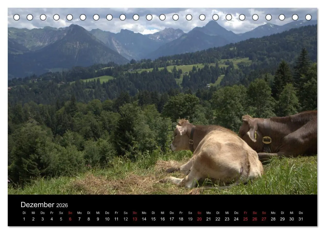 Bild: 9783457965665 | Glückliches Rindvieh 2026 (Tischkalender 2026 DIN A5 quer),...