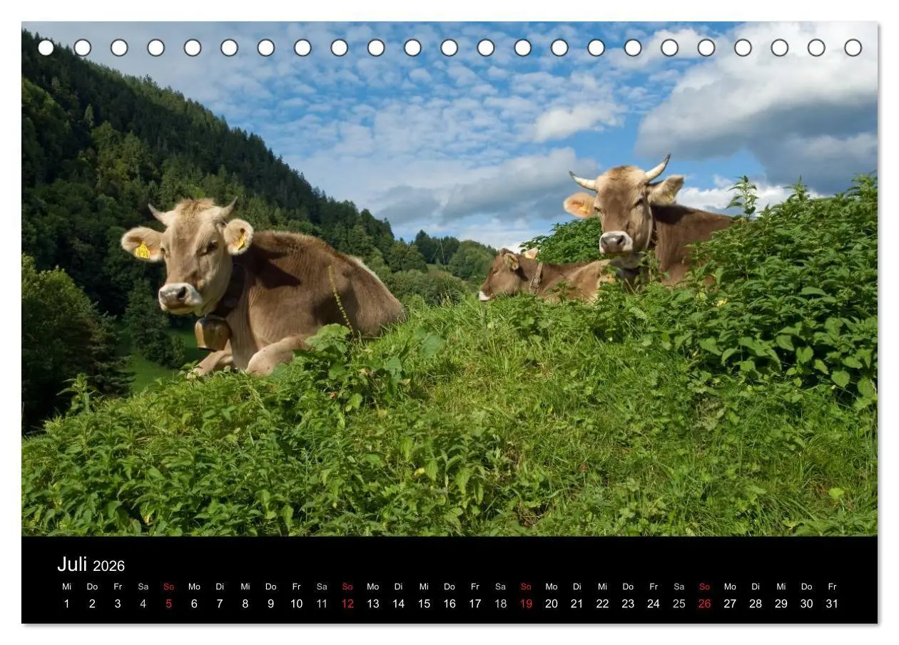 Bild: 9783457965665 | Glückliches Rindvieh 2026 (Tischkalender 2026 DIN A5 quer),...