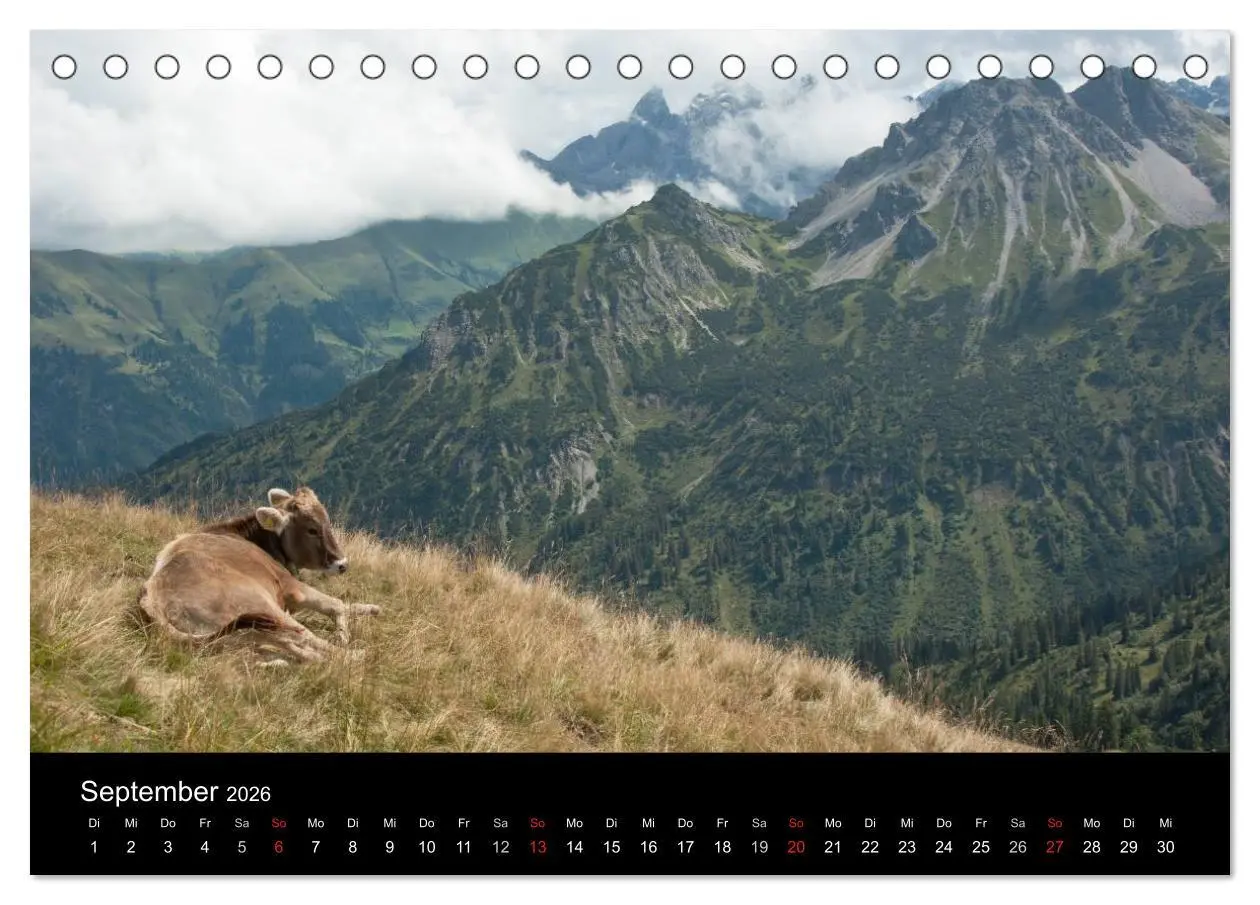 Bild: 9783457965665 | Glückliches Rindvieh 2026 (Tischkalender 2026 DIN A5 quer),...