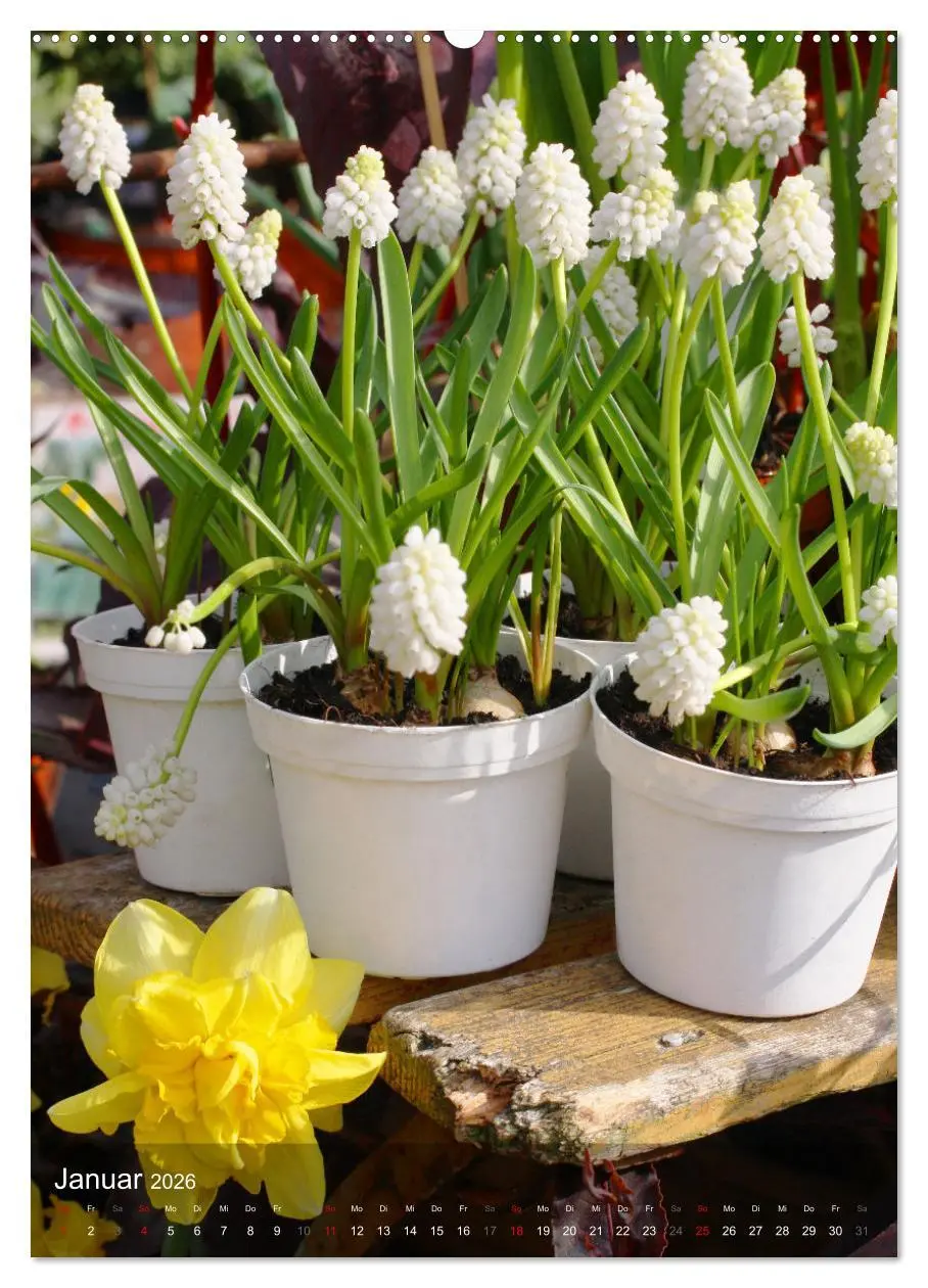 Bild: 9783516365665 | Ferien im Garten (hochwertiger Premium Wandkalender 2026 DIN A2...