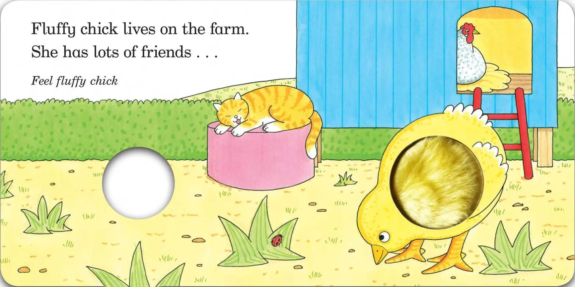 Bild: 9781529045765 | Fluffy Chick | A touch-and-feel Book from the creator of Dear Zoo