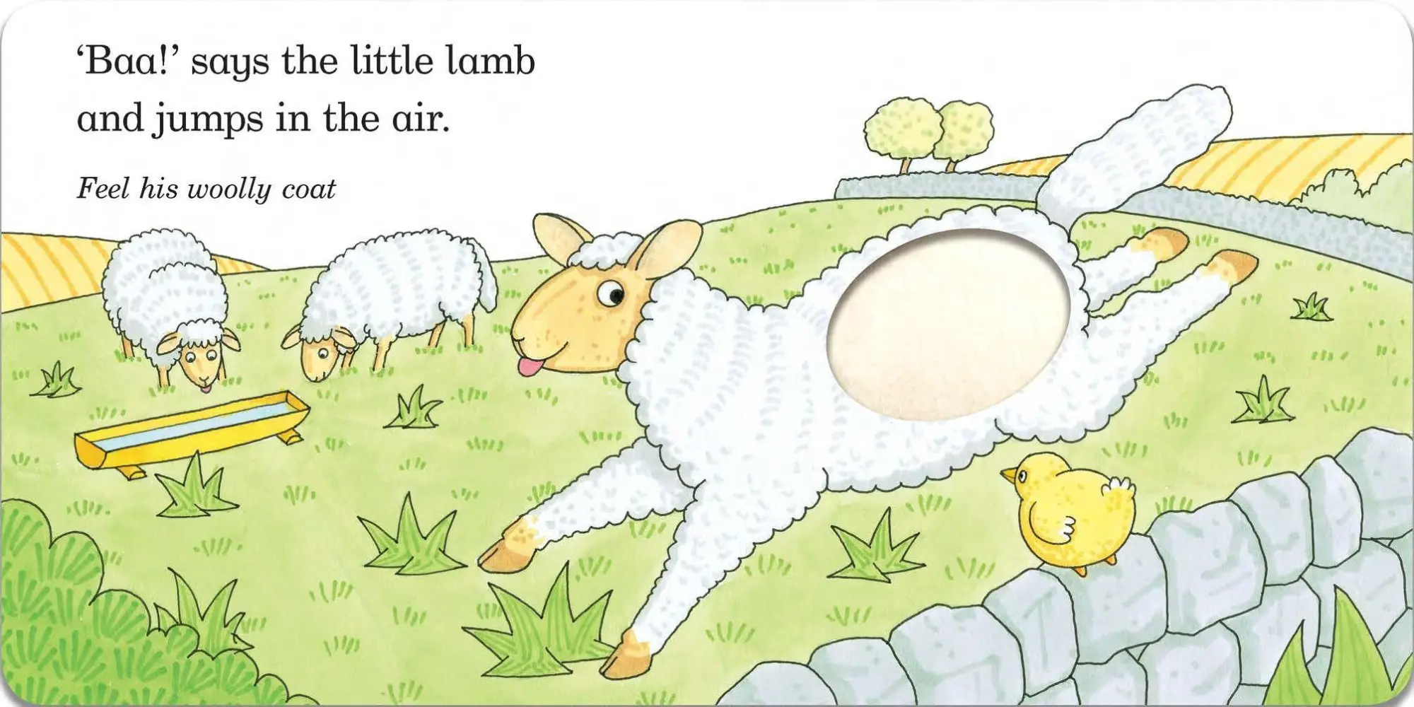 Bild: 9781529045765 | Fluffy Chick | A touch-and-feel Book from the creator of Dear Zoo