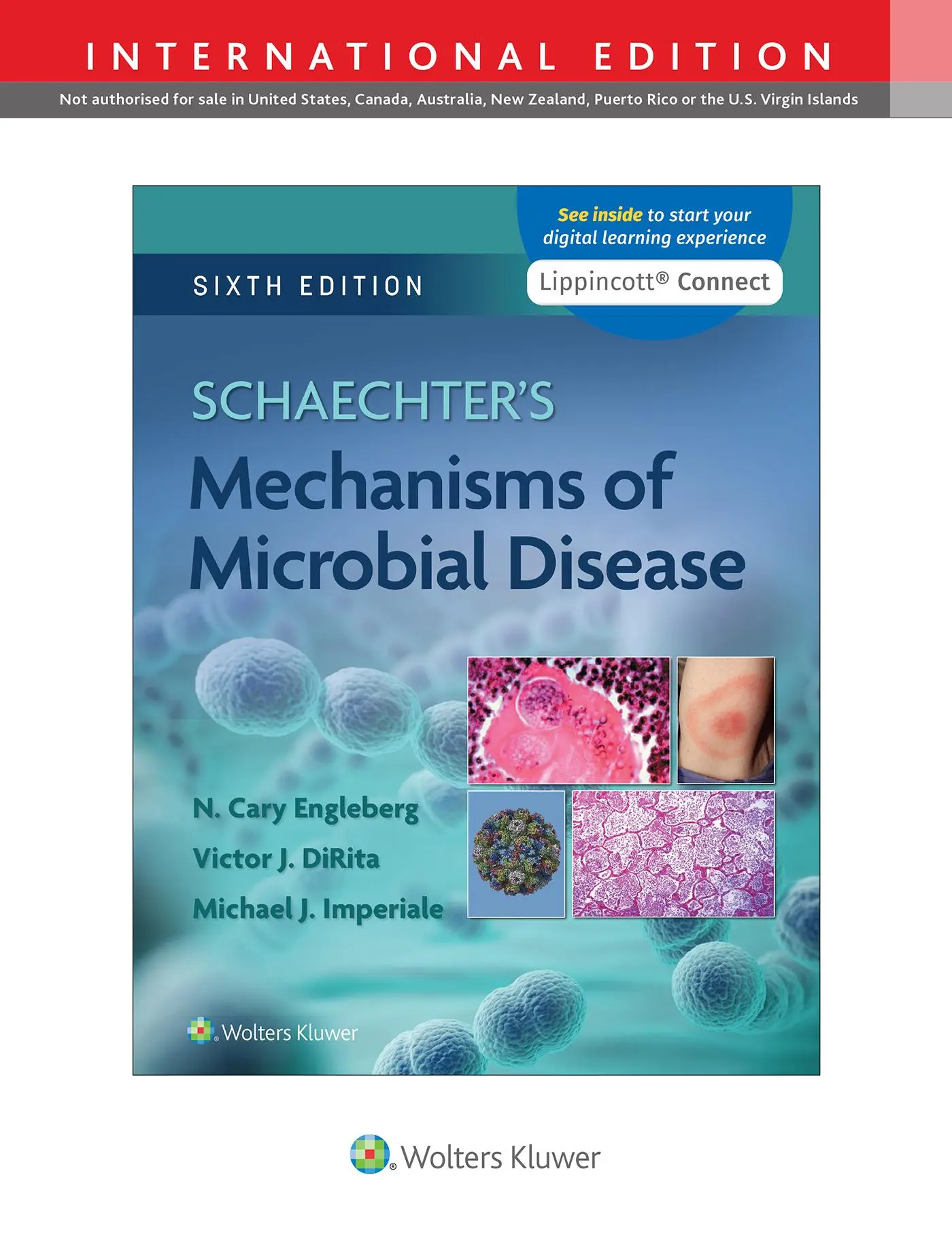 Cover: 9781975165765 | Schaechter's Mechanisms of Microbial Disease | Imperiale (u. a.)