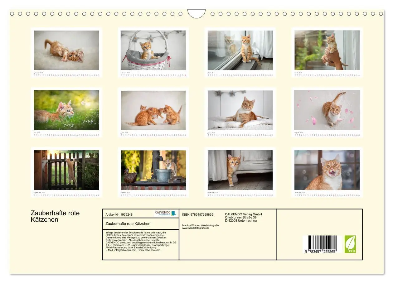 Bild: 9783457255865 | Zauberhafte rote Kätzchen (Wandkalender 2026 DIN A3 quer), CALVENDO...