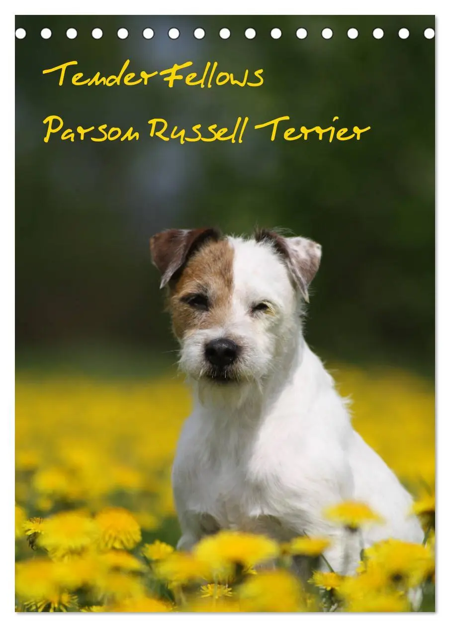 Cover: 9783516415865 | Tender Fellows - Parson Russell Terrier (Tischkalender 2026 DIN A5...