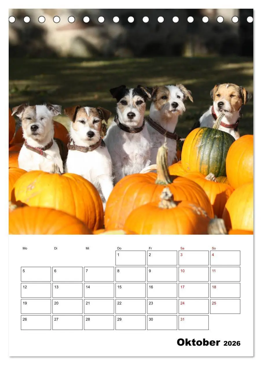 Bild: 9783516415865 | Tender Fellows - Parson Russell Terrier (Tischkalender 2026 DIN A5...