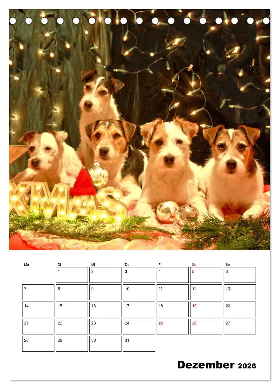 Bild: 9783516415865 | Tender Fellows - Parson Russell Terrier (Tischkalender 2026 DIN A5...