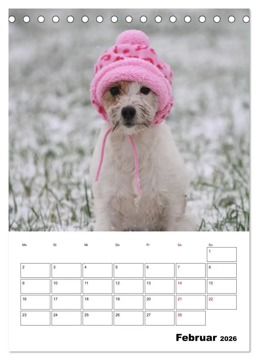 Bild: 9783516415865 | Tender Fellows - Parson Russell Terrier (Tischkalender 2026 DIN A5...