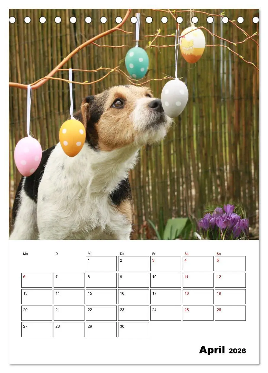 Bild: 9783516415865 | Tender Fellows - Parson Russell Terrier (Tischkalender 2026 DIN A5...