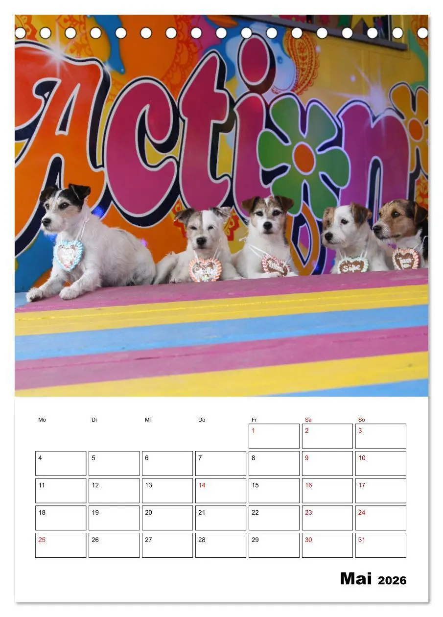Bild: 9783516415865 | Tender Fellows - Parson Russell Terrier (Tischkalender 2026 DIN A5...