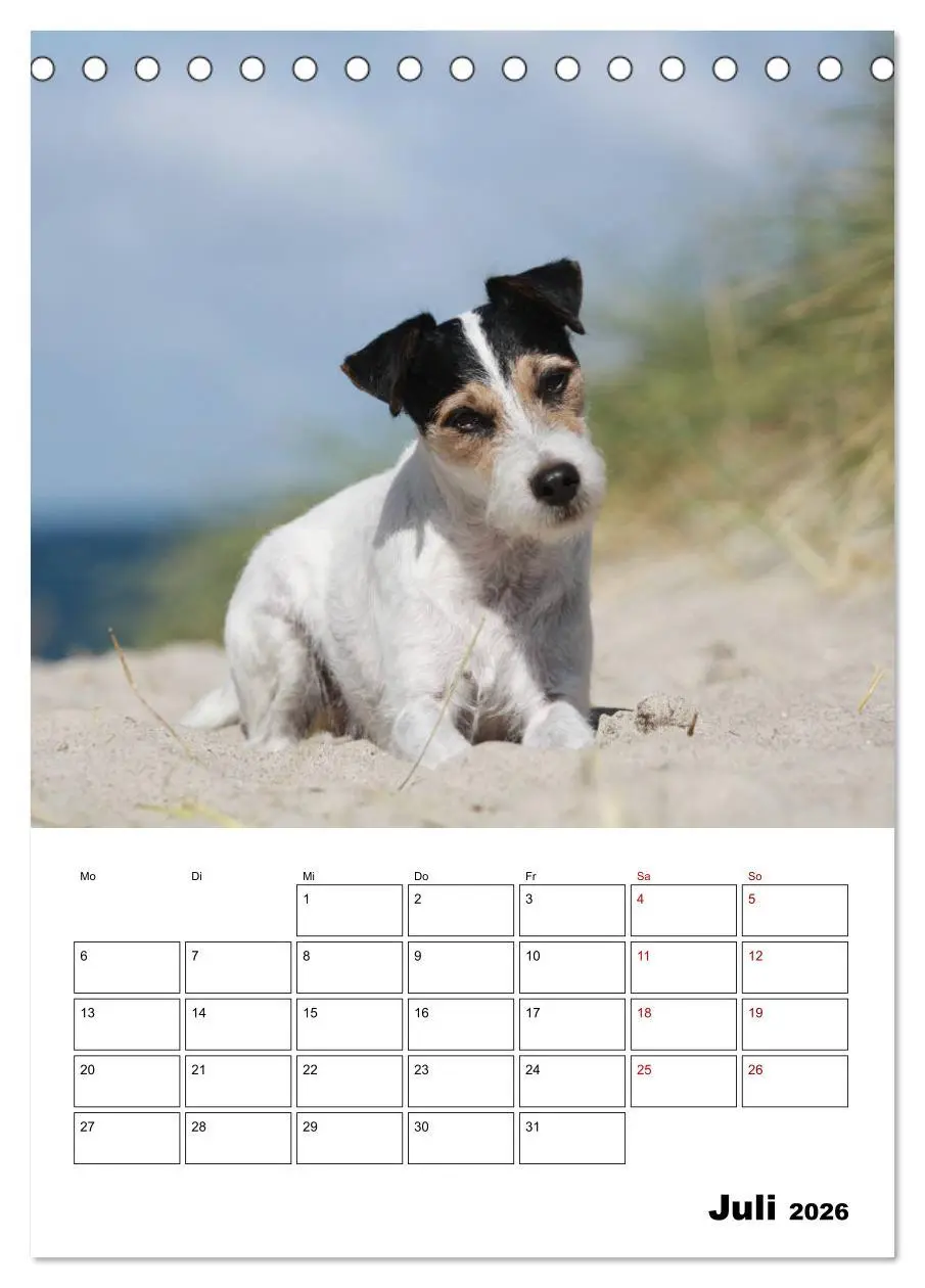 Bild: 9783516415865 | Tender Fellows - Parson Russell Terrier (Tischkalender 2026 DIN A5...