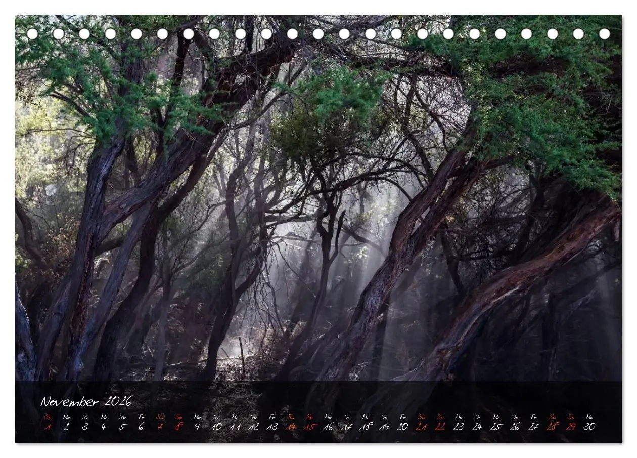 Bild: 9783516156065 | Neuseeland - Land der Maori (Tischkalender 2026 DIN A5 quer),...