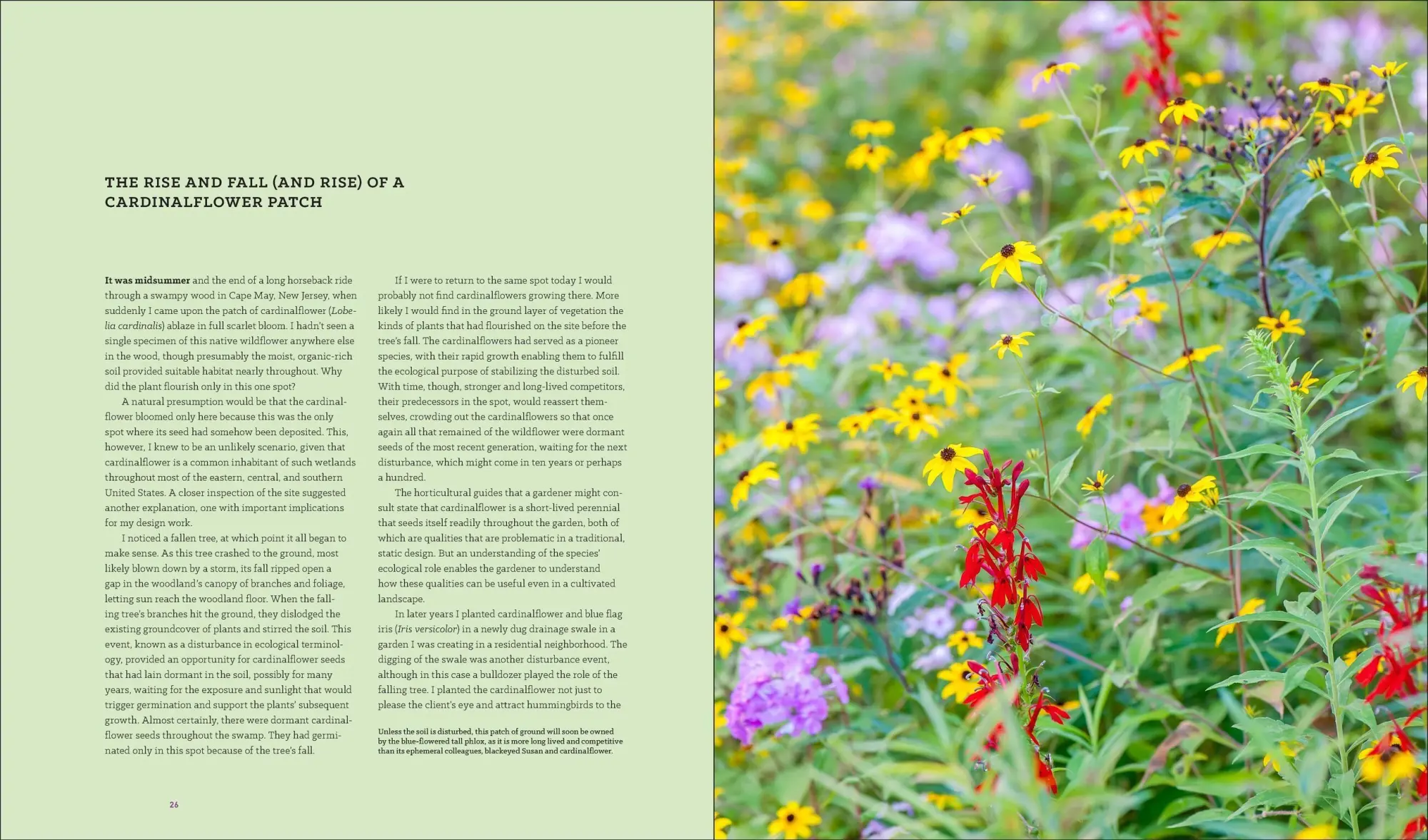 Bild: 9781604696165 | Garden Revolution | Larry Weaner (u. a.) | Buch | Gebunden | Englisch