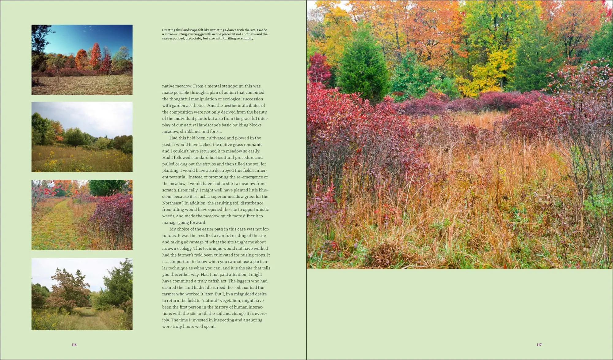 Bild: 9781604696165 | Garden Revolution | Larry Weaner (u. a.) | Buch | Gebunden | Englisch