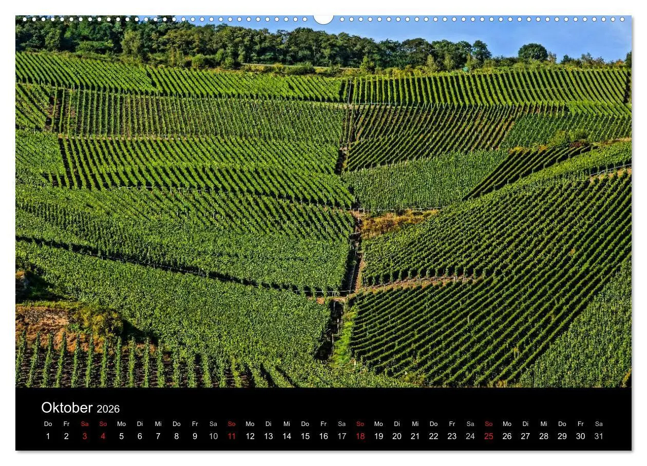 Bild: 9783516076165 | Schöne Mosel (hochwertiger Premium Wandkalender 2026 DIN A2 quer),...