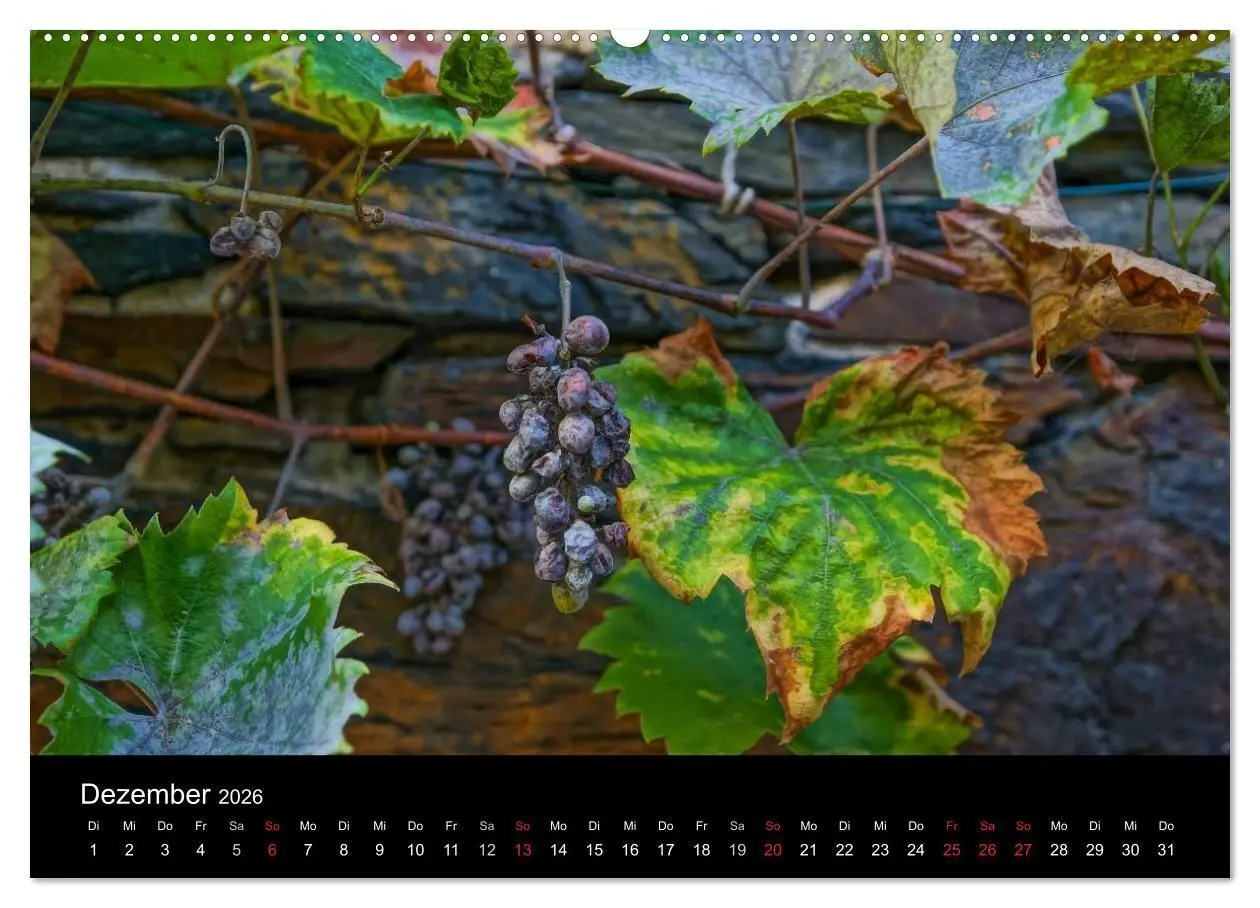 Bild: 9783516076165 | Schöne Mosel (hochwertiger Premium Wandkalender 2026 DIN A2 quer),...
