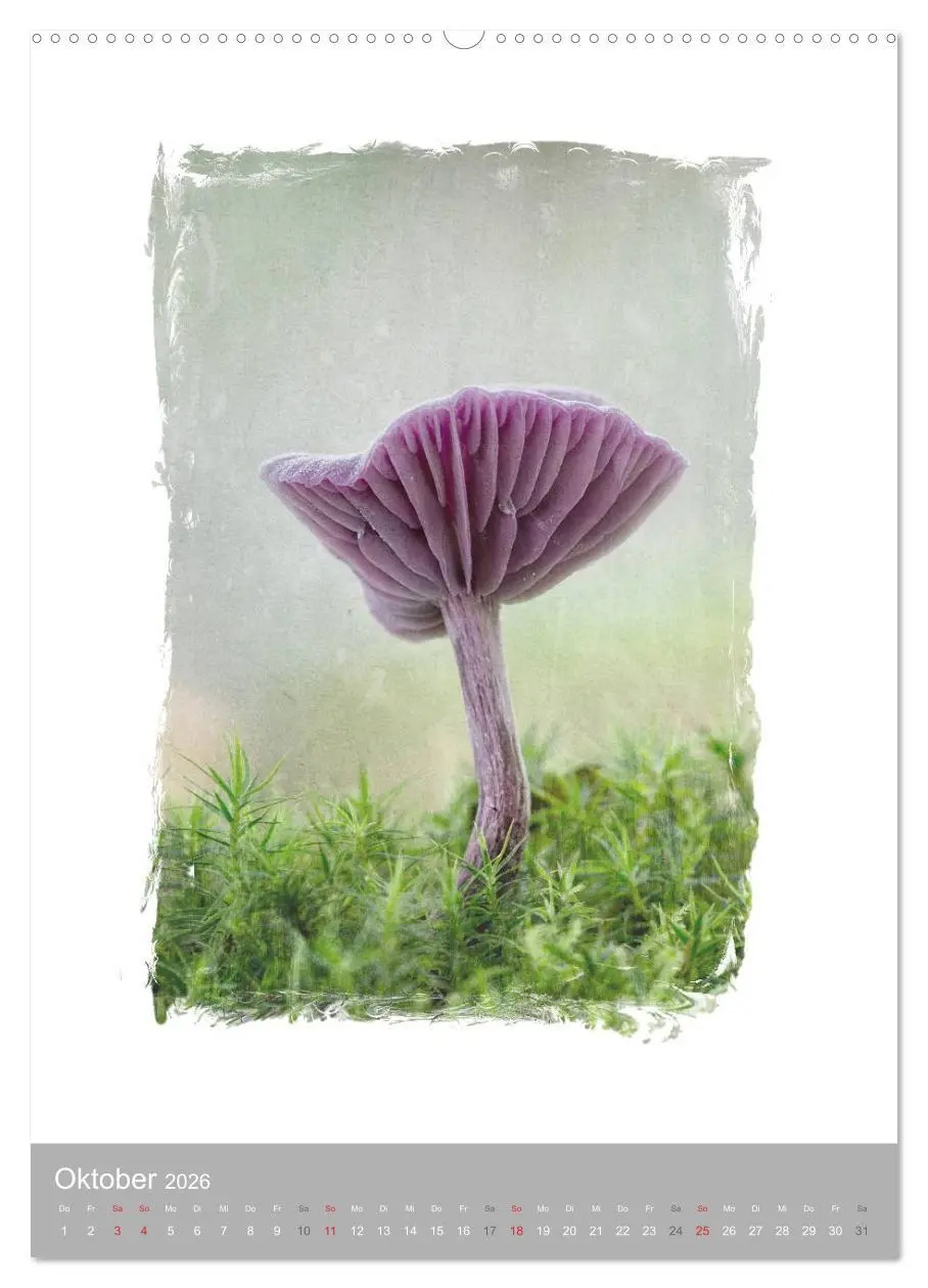 Bild: 9783516456165 | Kunstwerk Natur (Wandkalender 2026 DIN A2 hoch), CALVENDO...