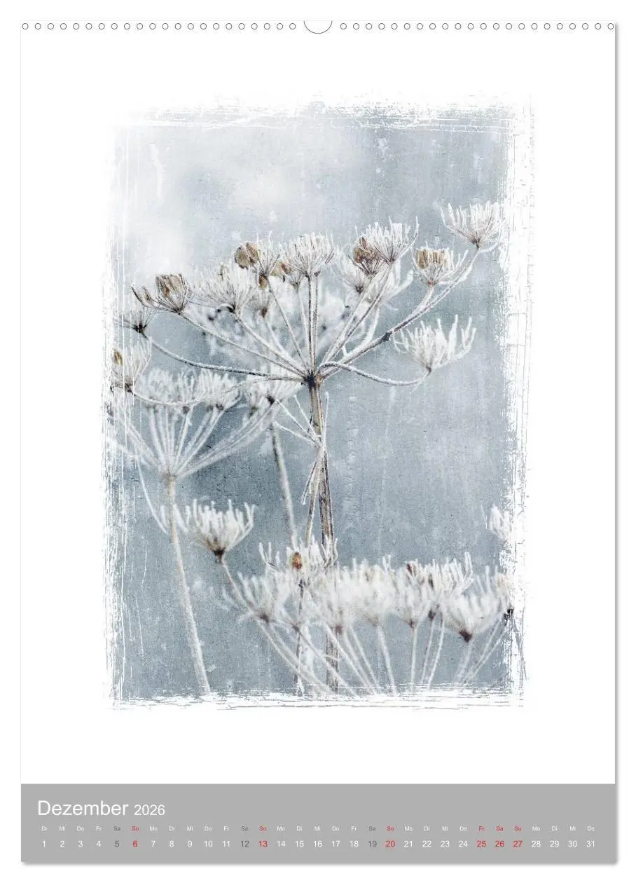 Bild: 9783516456165 | Kunstwerk Natur (Wandkalender 2026 DIN A2 hoch), CALVENDO...
