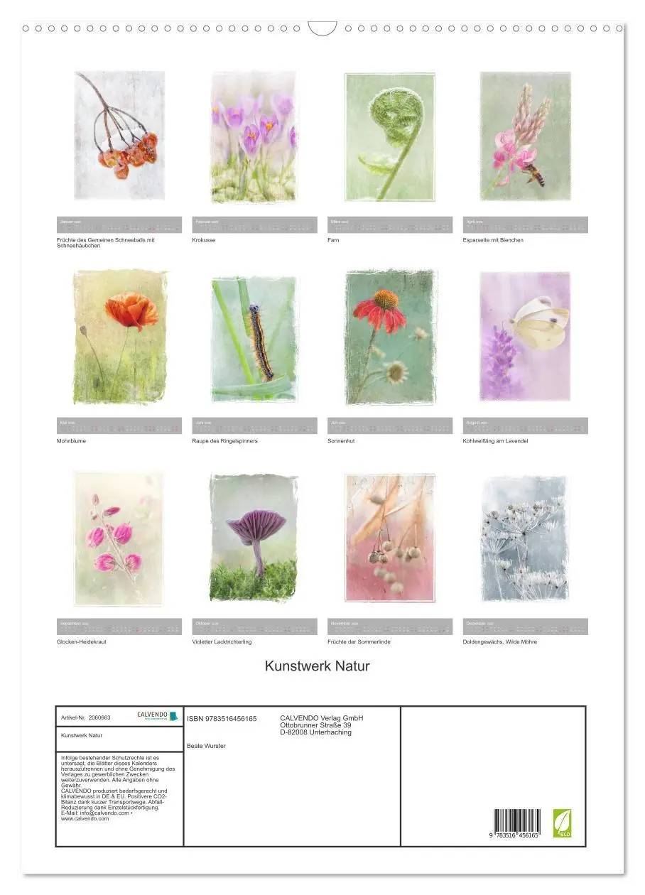 Bild: 9783516456165 | Kunstwerk Natur (Wandkalender 2026 DIN A2 hoch), CALVENDO...