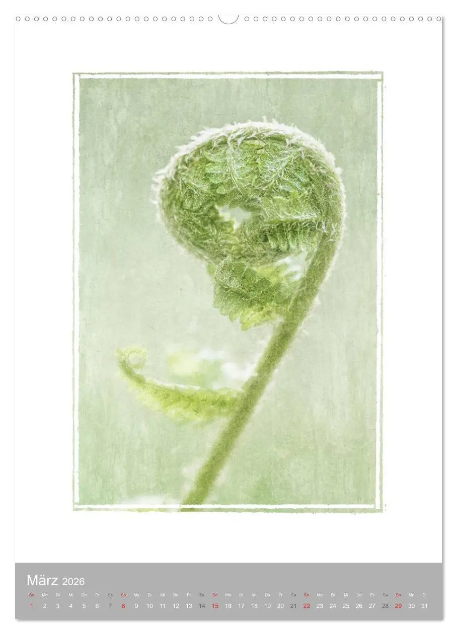 Bild: 9783516456165 | Kunstwerk Natur (Wandkalender 2026 DIN A2 hoch), CALVENDO...