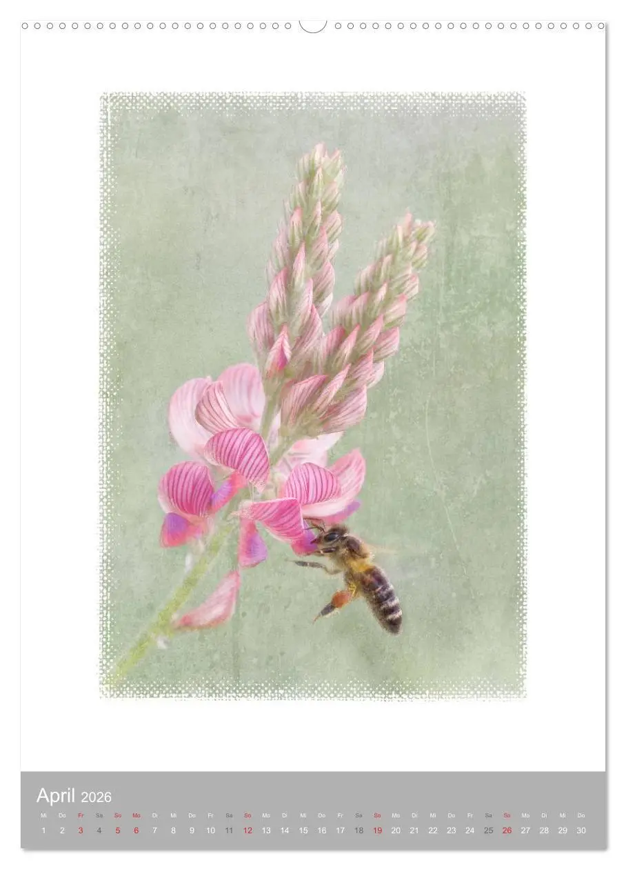 Bild: 9783516456165 | Kunstwerk Natur (Wandkalender 2026 DIN A2 hoch), CALVENDO...