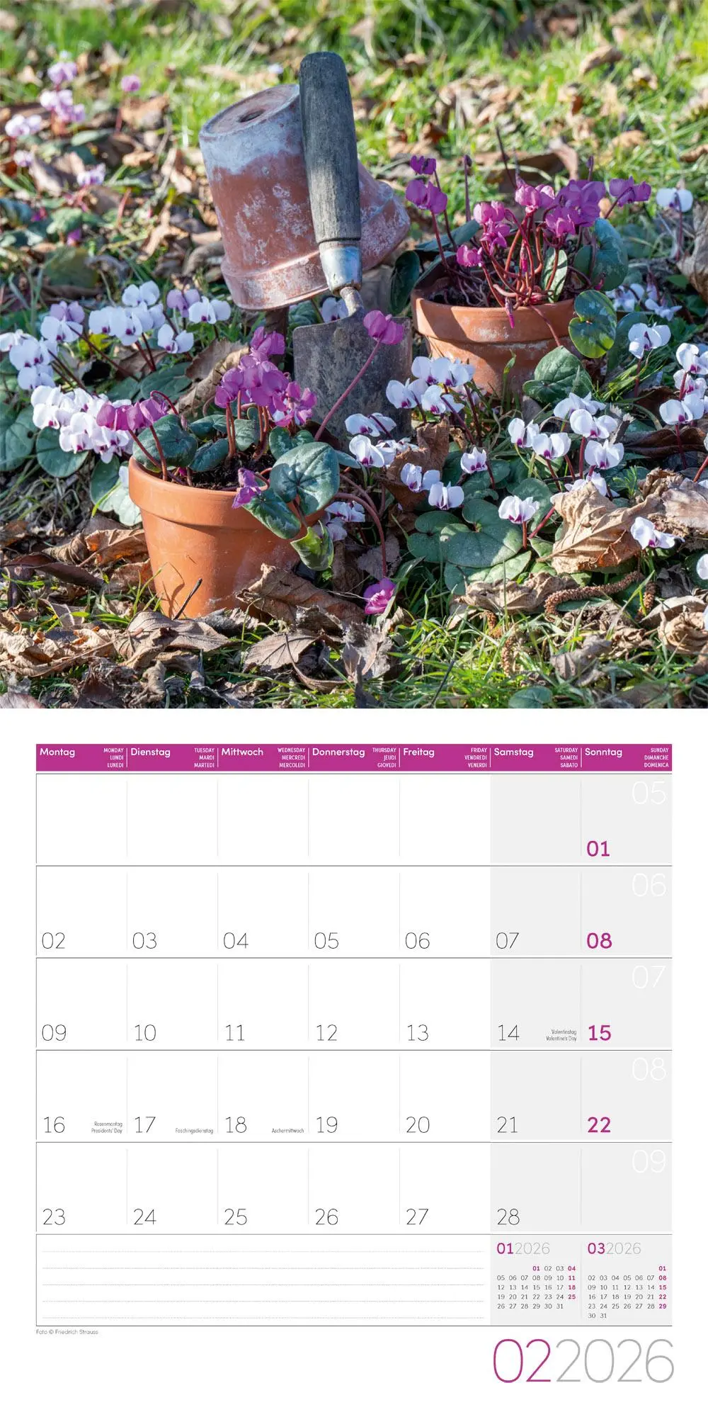 Bild: 9783838446165 | Landleben Broschürenkalender 2026 - 30x30 - Art12 | GmbH | Kalender