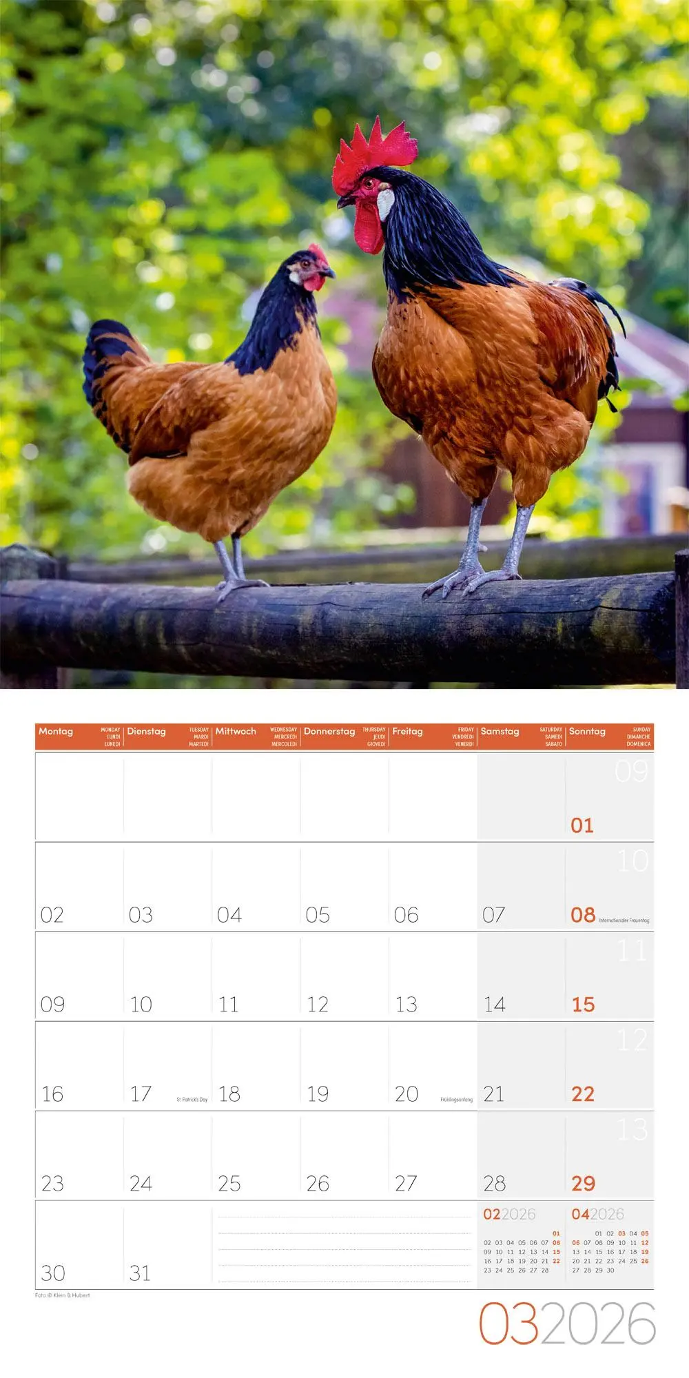 Bild: 9783838446165 | Landleben Broschürenkalender 2026 - 30x30 - Art12 | GmbH | Kalender