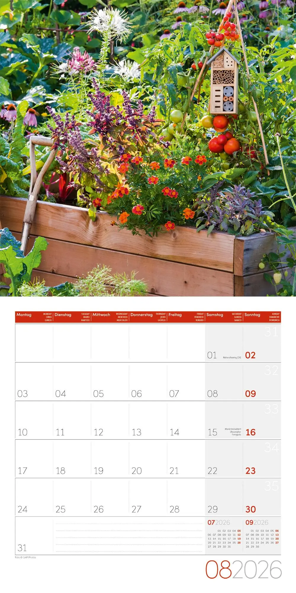 Bild: 9783838446165 | Landleben Broschürenkalender 2026 - 30x30 - Art12 | GmbH | Kalender